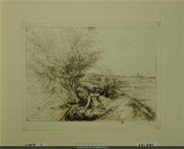 Leheutre - Le Grand Saule à Saint-Parres, NUM Mfilm 347 (10, 330)