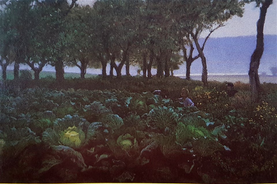 Lekande barn i kålfält x August Malmström