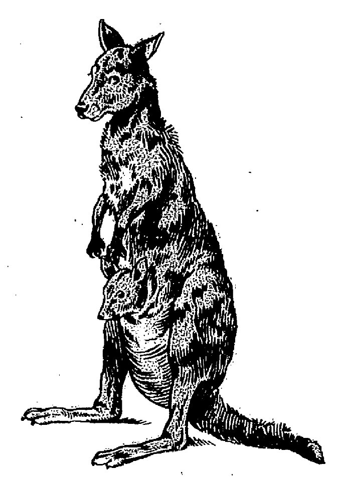 Lemaître - ABC, 1921 (page 34-2 crop)