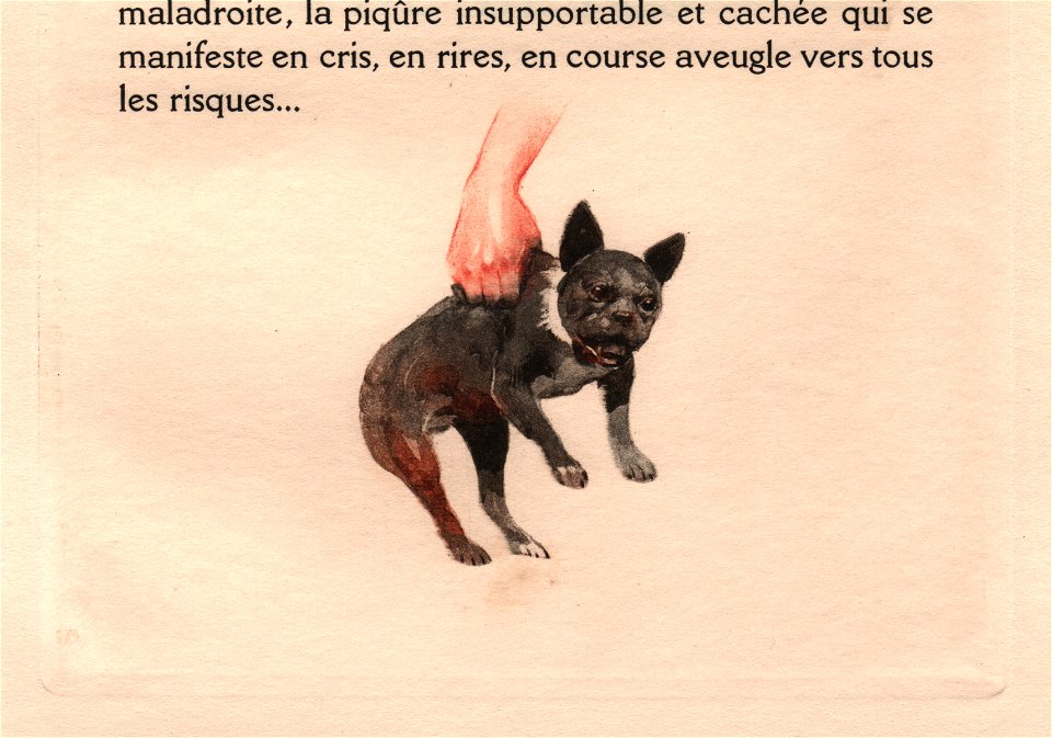 Lelong - Vrilles de la Vigne ill p059