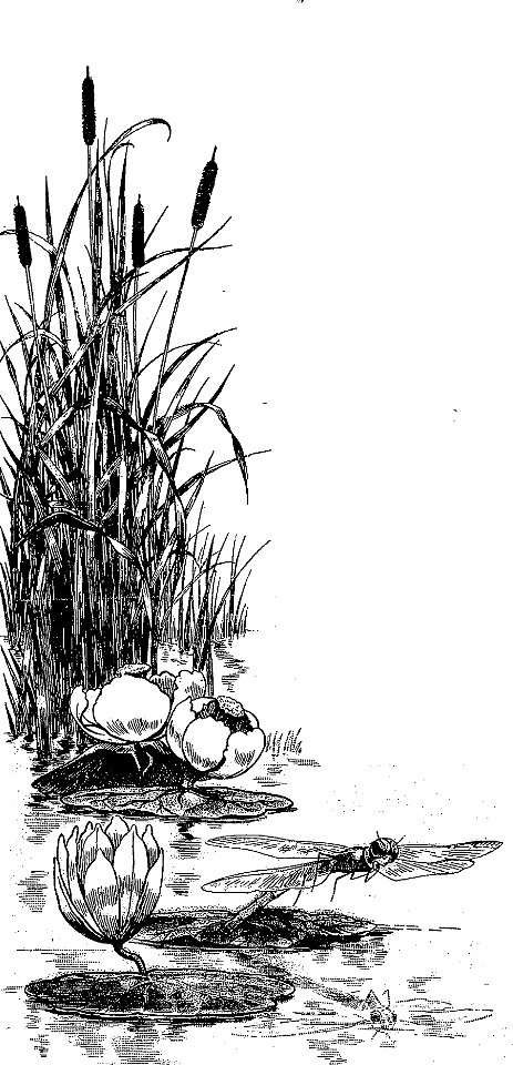Lemaître - ABC, 1921 (page 22-2 crop)