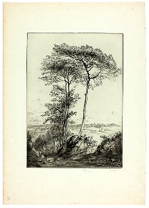 Leheutre - The Pines of Saint-Clet, 1950.1241