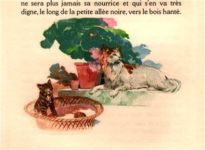 Lelong - Vrilles de la Vigne ill p040