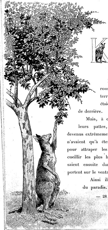 Lemaître - ABC, 1921 (page 33-2 crop)