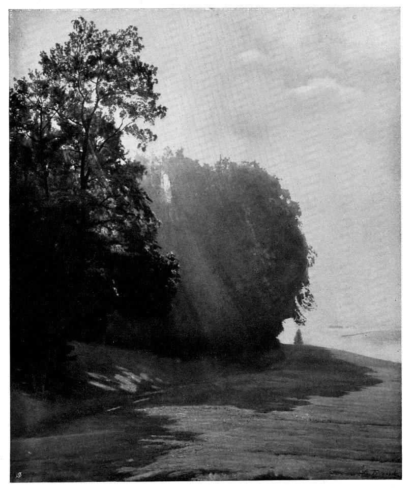 Leo Frank Morgennebel am Waldrand 1924 dgE