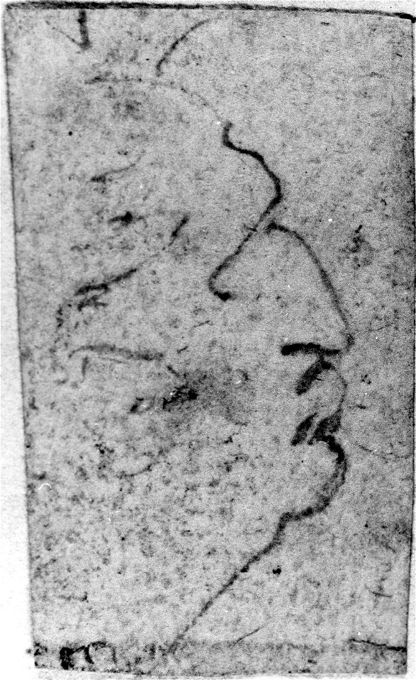 Leonardo da Vinci - Male Profile, 1576