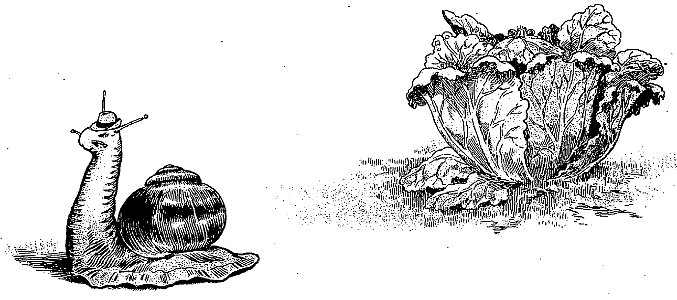 Lemaître - ABC, 1921 (page 24 crop)