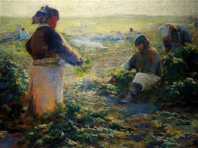Leon Wyczółkowski - Kopanie buraków I
