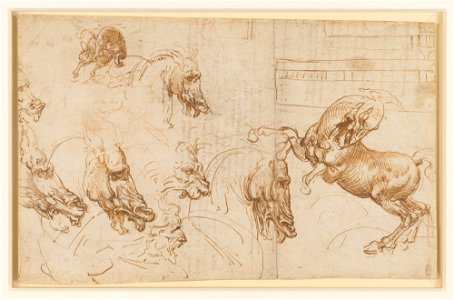 Leonardo da Vinci - RCIN 912326, Recto A rearing horse, and heads of horses, a lion and a man