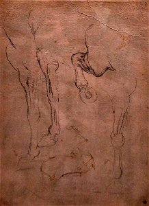 Lenorado da Vinci Horse2