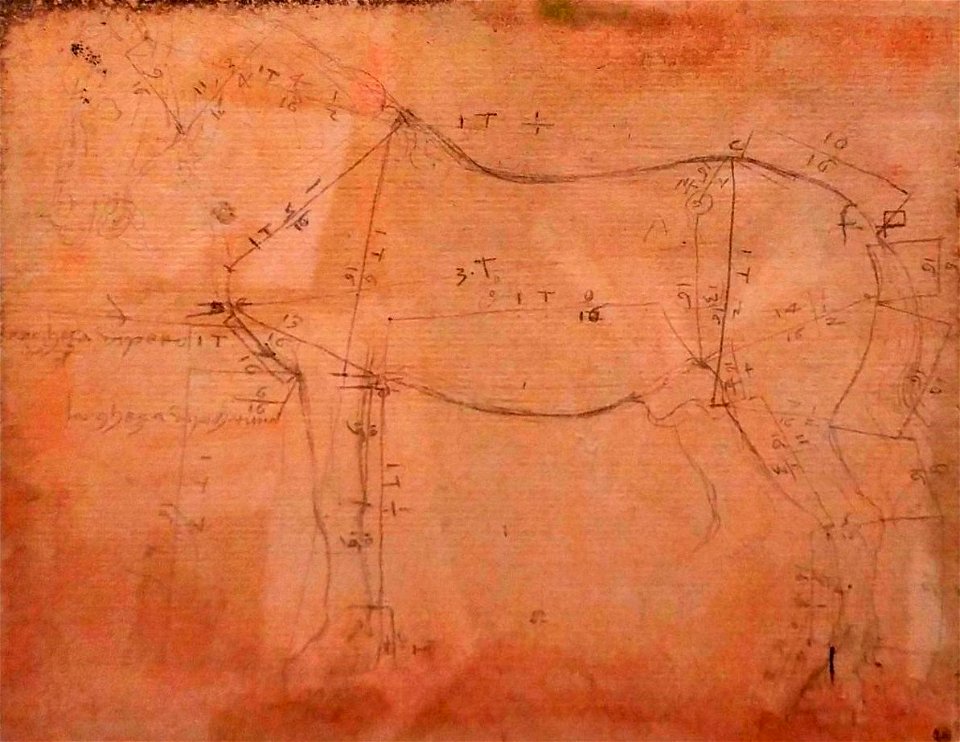 Lenorado Da Vinci Horse