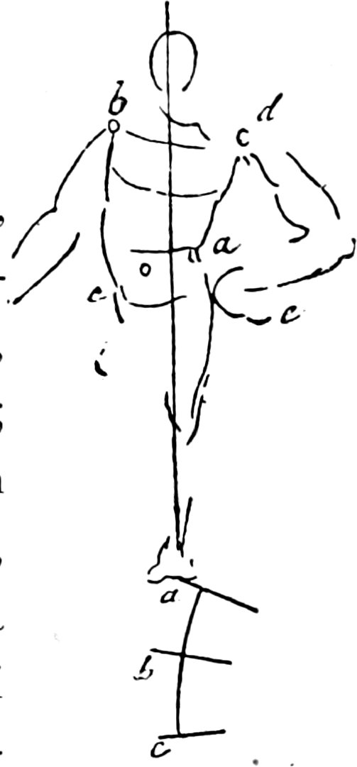 Leonardo - Trattato della pittura, 1890 (page 145b crop)