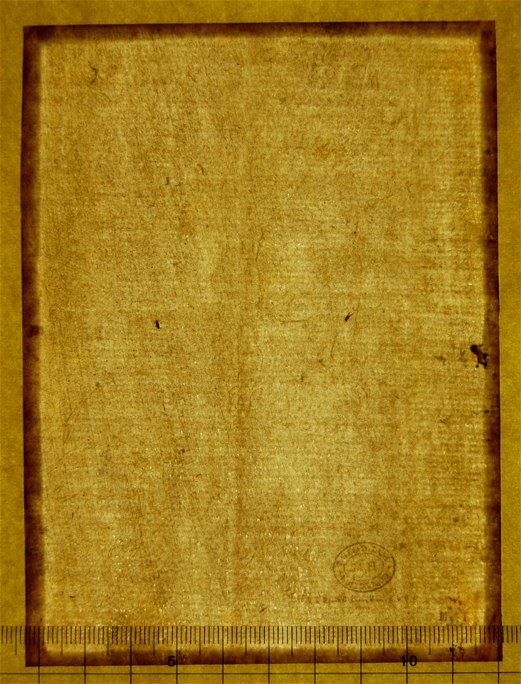 Leonardo da Vinci - 1895,0915.477, v, Two studies of a cat and one of a dog
