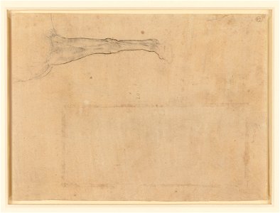 Leonardo da Vinci - RCIN 912292, Recto A horse's fore-leg and chest