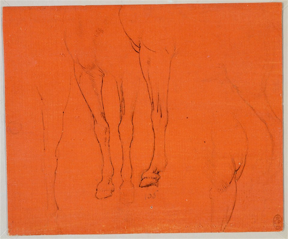 Leonardo da Vinci - RCIN 912305, Horses' legs c.1478-80