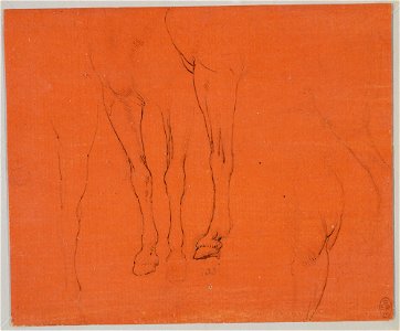 Leonardo da Vinci - RCIN 912305, Horses' legs c.1478-80