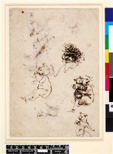 Leonardo da Vinci - 1857,0110.1, Three studies of the Christ Child with a cat, and one study of a cat. Free illustration for personal and commercial use.