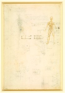 Leonardo da Vinci - RCIN 912592, Verso The organs and vessels of the body c.1506-10