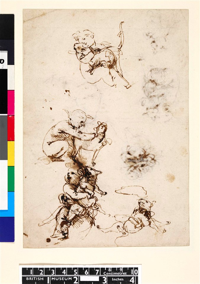Leonardo da Vinci - 1857,0110.1, Verso A study of the Child, one of the Virgin and Child with a cat, and one of a cat