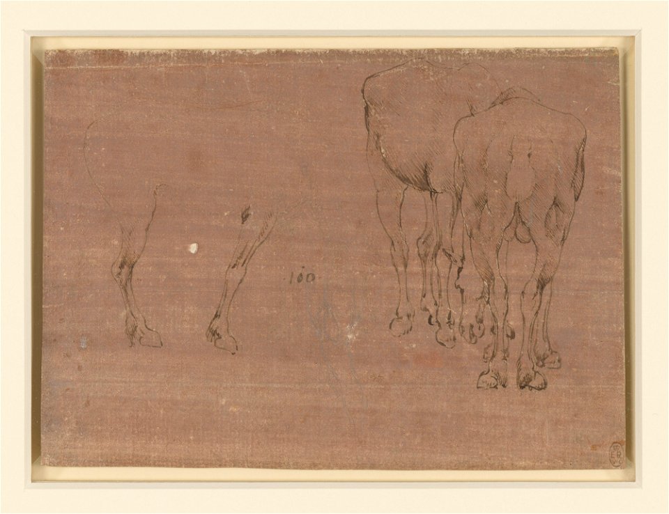 Leonardo da Vinci - RCIN 912308, Studies of horses c.1478-80