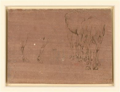 Leonardo da Vinci - RCIN 912308, Studies of horses c.1478-80