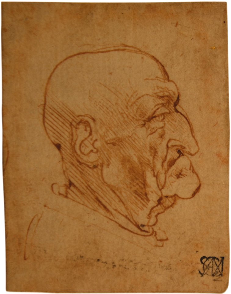 Leonardo da Vinci - Profile Head of an Elderly Man, 1080