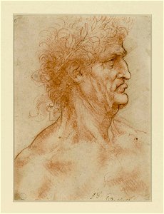 Leonardo da Vinci - Masculine Profile Crowned by Bay Leaves (TORINO BIBLIOTECA REALE)