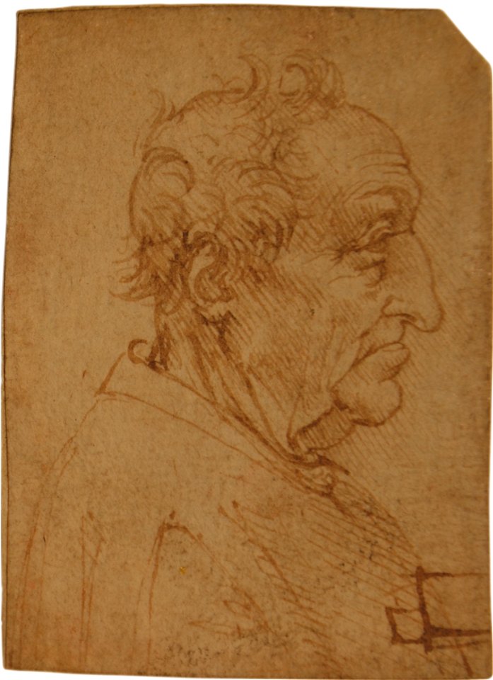 Leonardo da Vinci - Bust of a Man, in Profile, Facing Right, 1604
