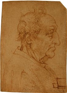 Leonardo da Vinci - Bust of a Man, in Profile, Facing Right, 1604