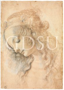 Leonardo da Vinci - inv 428 E