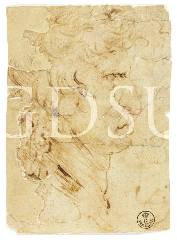 Leonardo da Vinci - inv 449 E r