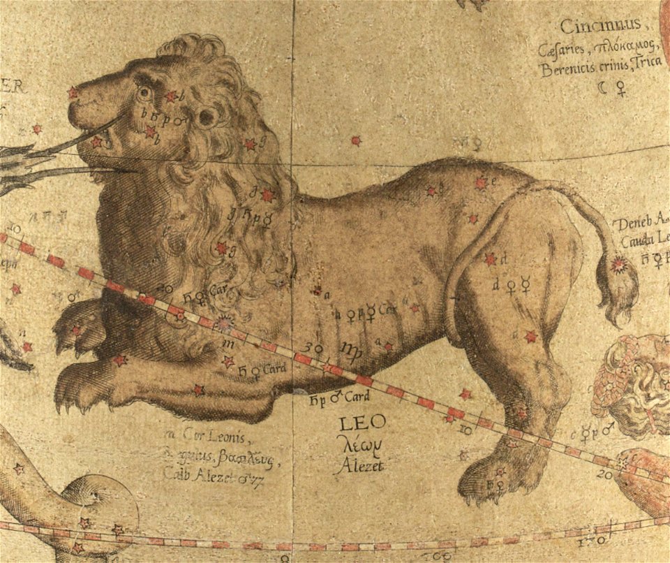 Leo - Mercator