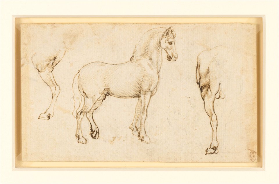 Leonardo da Vinci - RCIN 912324, Studies of horses c.1478-80