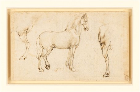 Leonardo da Vinci - RCIN 912324, Studies of horses c.1478-80