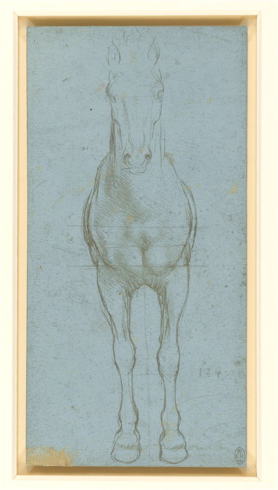 Leonardo da Vinci - RCIN 912290, A horse divided by lines c.1490