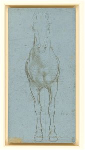 Leonardo da Vinci - RCIN 912290, A horse divided by lines c.1490. Free illustration for personal and commercial use.
