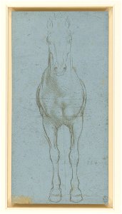 Leonardo da Vinci - RCIN 912290, A horse divided by lines c.1490