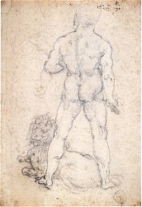 Leonardo da Vinci - Master Draftsman, Cat. 102