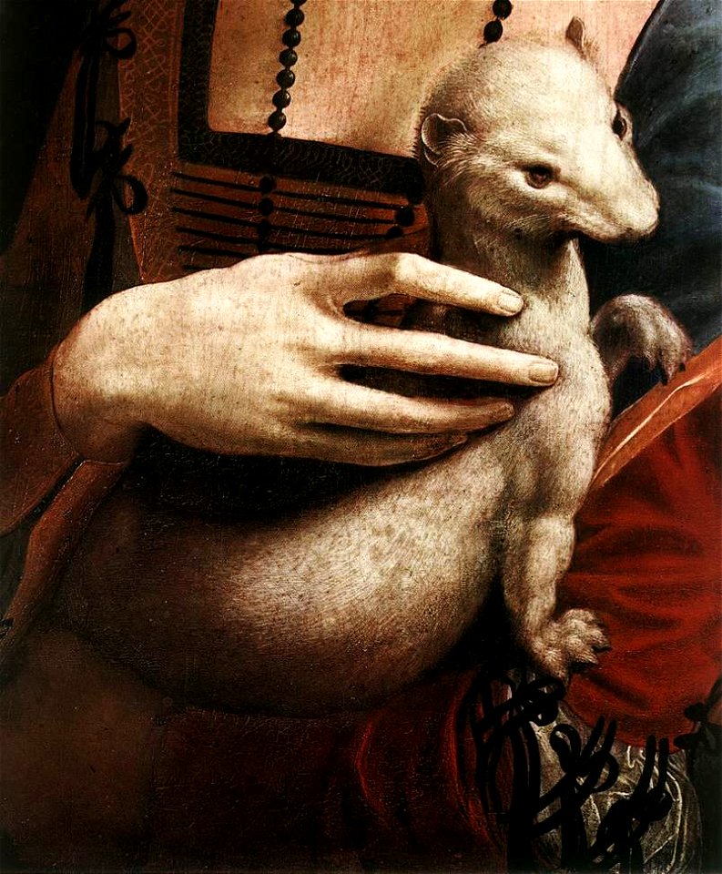 Leonardo da Vinci - Portrait of Cecilia Gallerani (detail) - WGA12699
