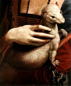 Leonardo da Vinci - Portrait of Cecilia Gallerani (detail) - WGA12699