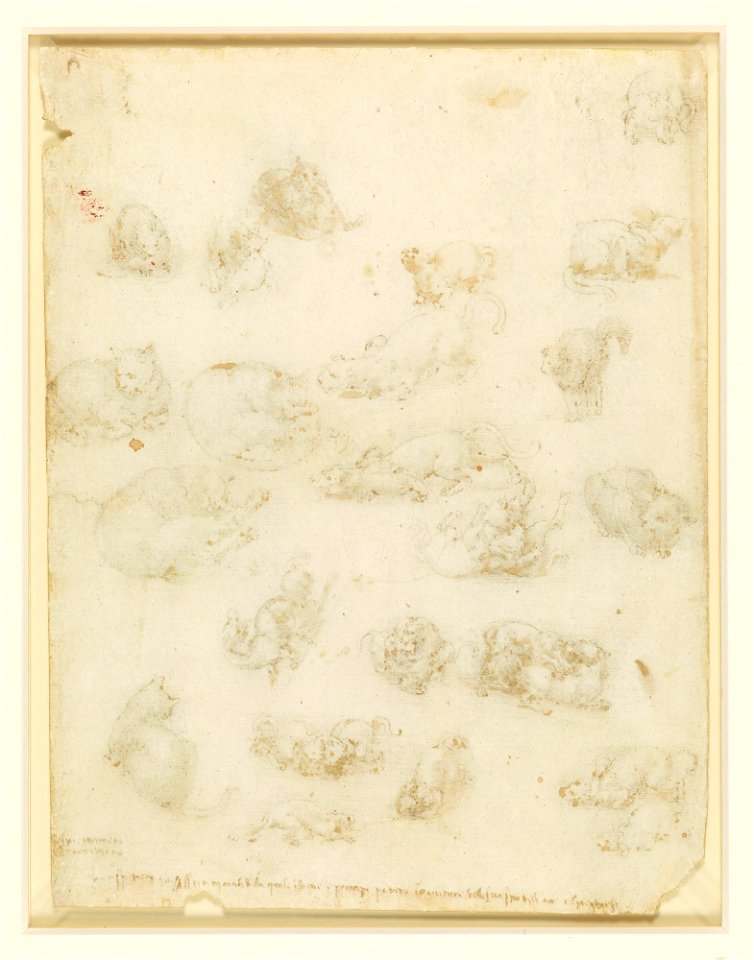 Leonardo da Vinci - RCIN 912363, v, Cats, lions, and a dragon c.1517-18