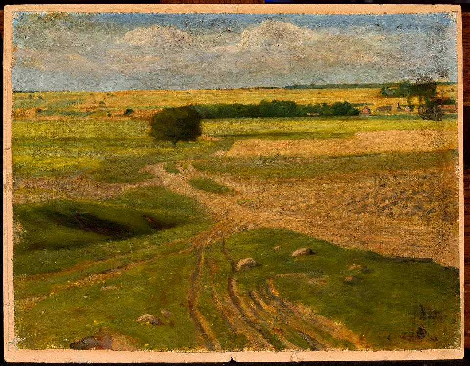 Leon Szpądrowski - Landscape of fields - MP 3503 MNW - National Museum in Warsaw