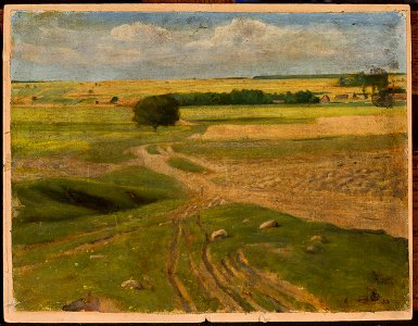 Leon Szpądrowski - Landscape of fields - MP 3503 MNW - National Museum in Warsaw