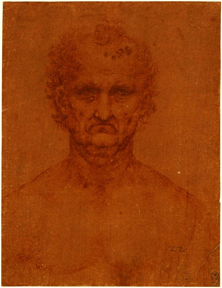 Leonardo da Vinci - RCIN 912503, The bust of a man c.1505-10