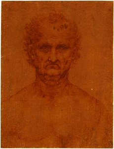 Leonardo da Vinci - RCIN 912503, The bust of a man c.1505-10