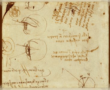 Leonardo da Vinci - RCIN 912447, Verso Studies of optics c.1490