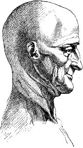 Leonardo - Trattato della pittura, 1890 (page 68 crop)