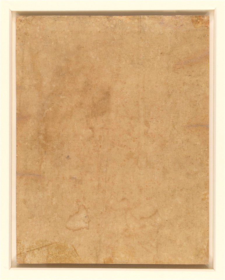 Leonardo da Vinci - RCIN 912534, v, The head of the Madonna() c.1510-15