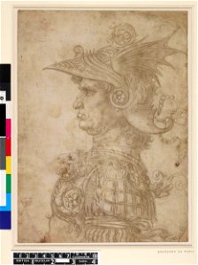 Leonardo da Vinci - 1895,0915.474, A bust of a warrior in profile to left, wearing a winged helmet and armour bearing a lion on the breastplate
