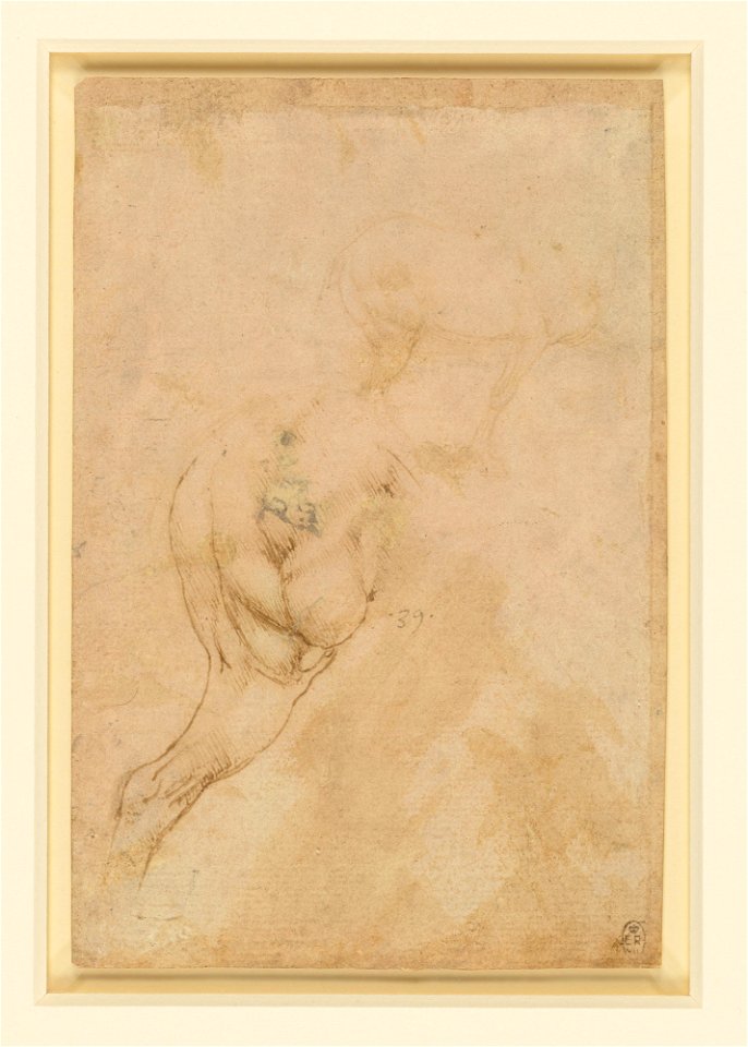 Leonardo da Vinci - RCIN 912312, Recto The hind-quarters of a horse, and a sketch of a horse